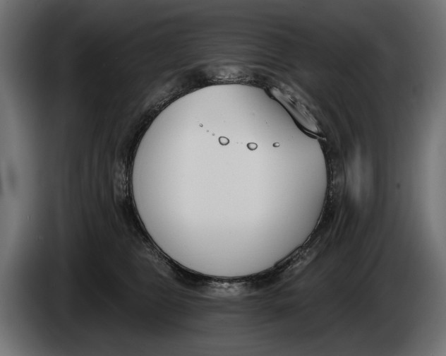 X0000083530469200703021557