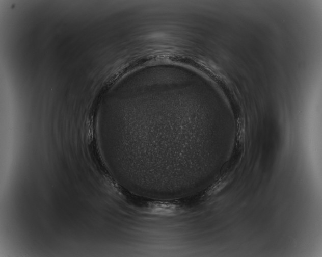 X0000083530471200703021557