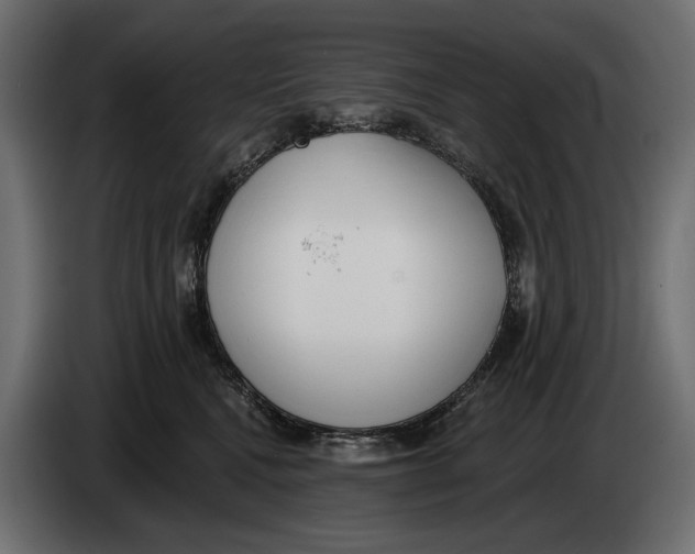 X0000083530472200703021557