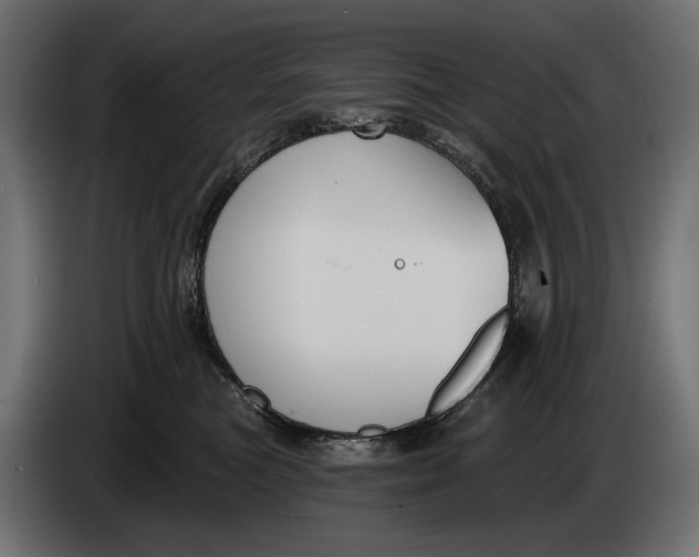 X0000083530473200703021557