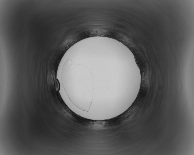 X0000083530474200703021557