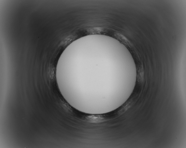 X0000083530477200703021557