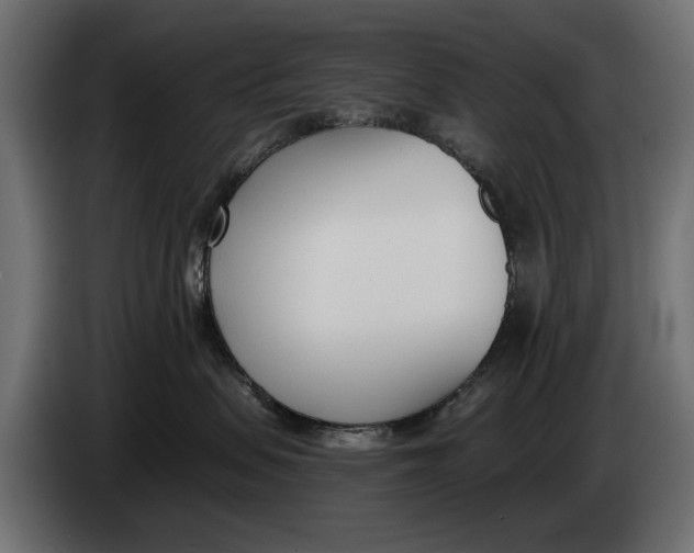 X0000083530479200703021557