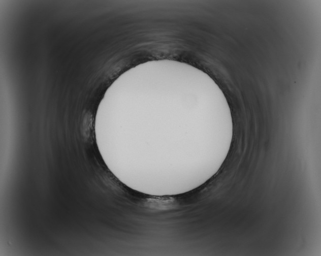 X0000083530480200703021557