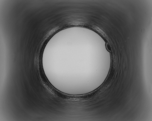 X0000083530482200703021556