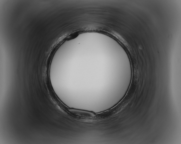 X0000083530485200703021556