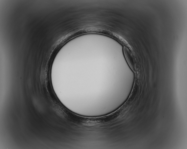 X0000083530487200703021556