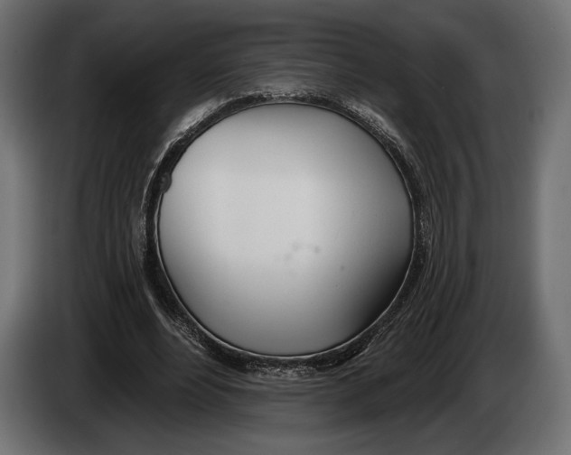 X0000083530488200703021556