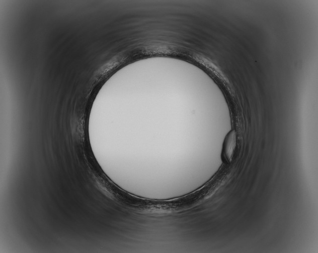 X0000083530489200703021556