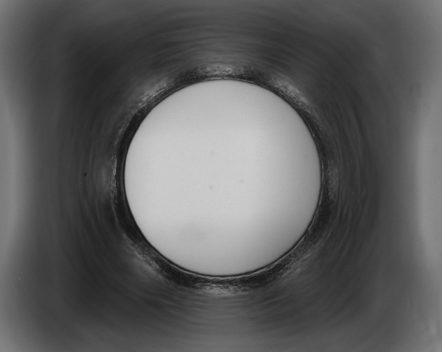 X0000083530490200703021556