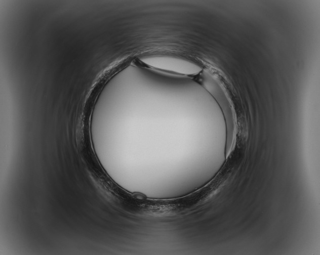 X0000083530492200703021556