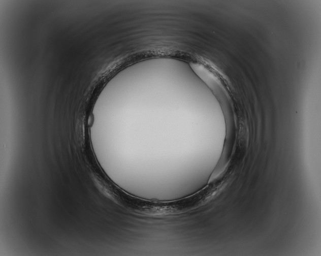 X0000083530493200703021556