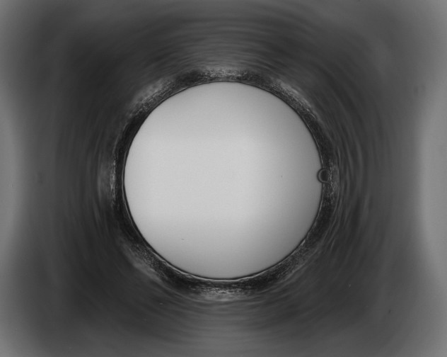 X0000083530494200703021556