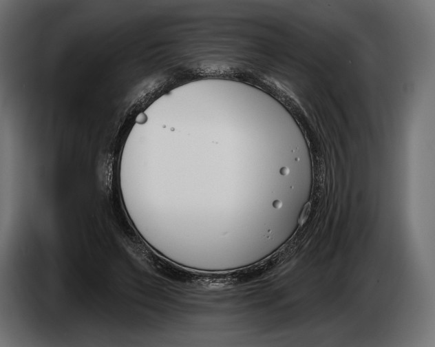 X0000083530495200703021556