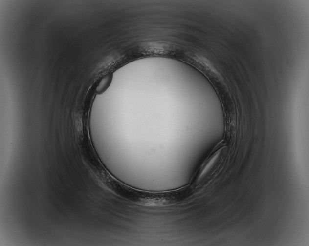 X0000083530500200703021556