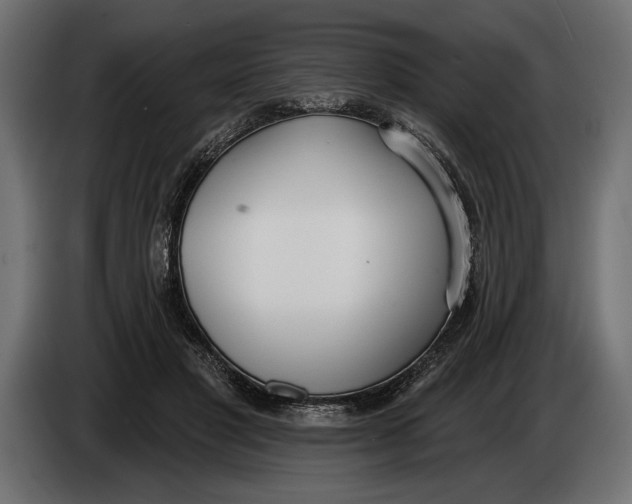 X0000083530501200703021556