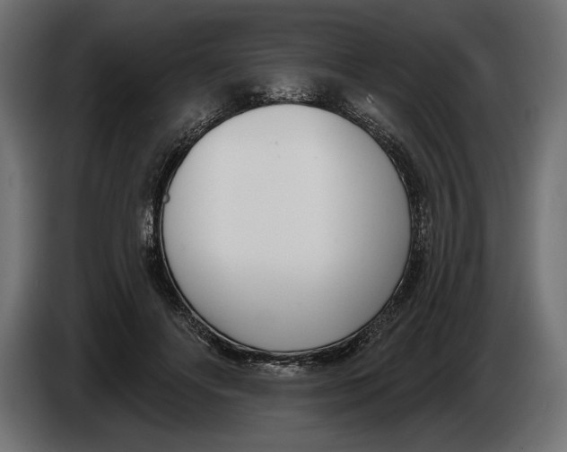 X0000083530502200703021556