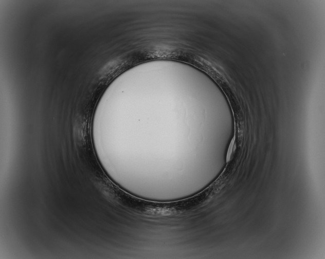 X0000083530503200703021556