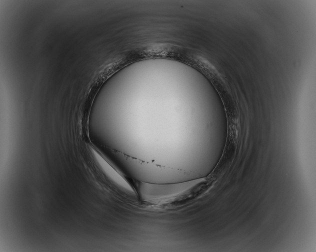 X0000083530504200703021556