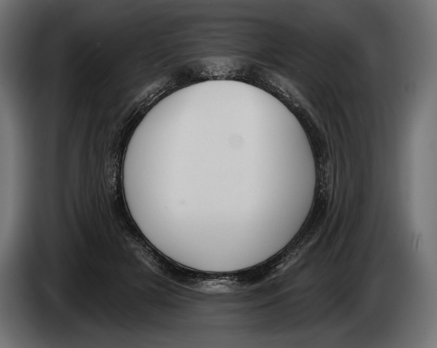 X0000083530505200703021556