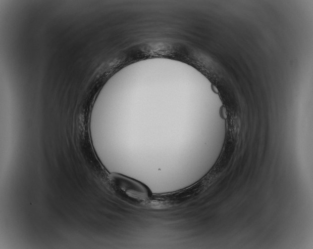 X0000083530506200703021556