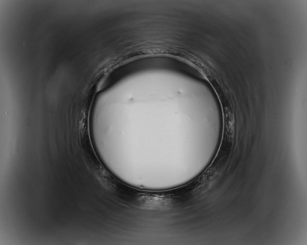 X0000083530507200703021556