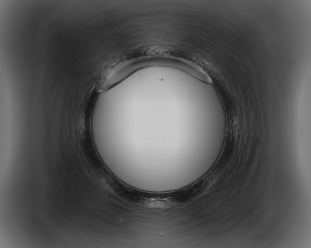 X0000083530508200703021556