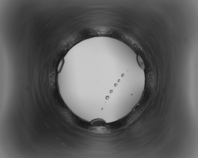 X0000083530509200703021556