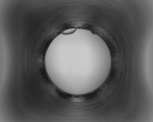 X0000083530510200703021556