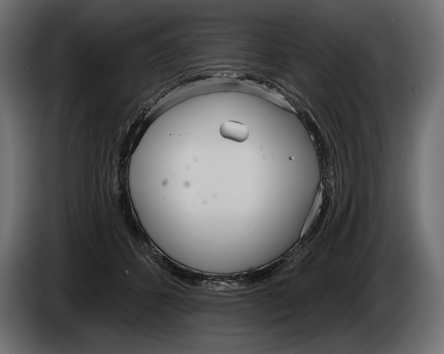 X0000083530512200703021556