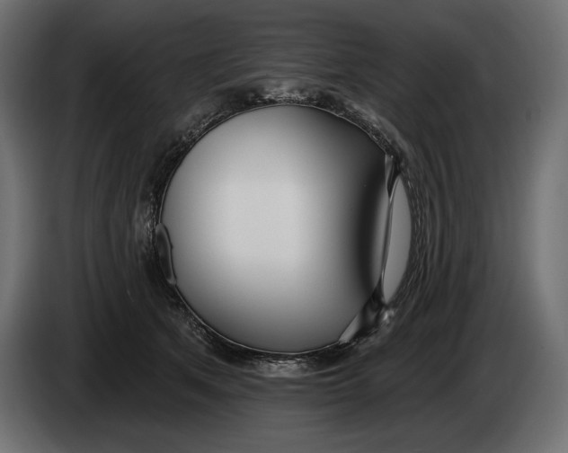 X0000083530513200703021556