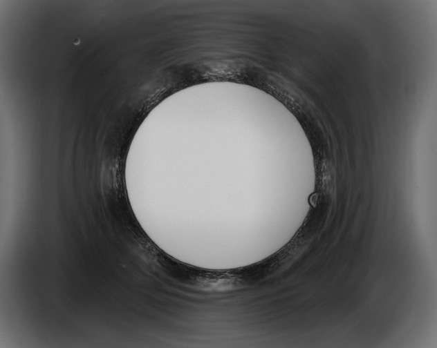 X0000083530514200703021556