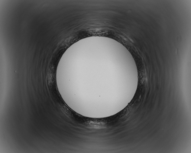 X0000083530515200703021556