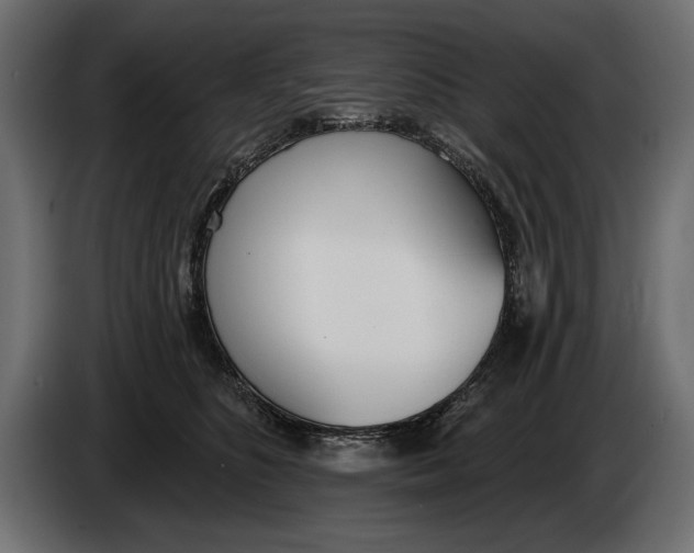 X0000083530516200703021556