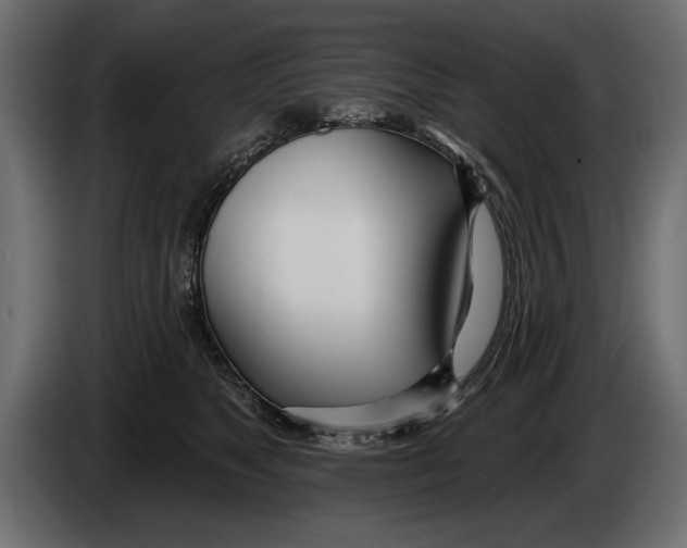 X0000083530517200703021556