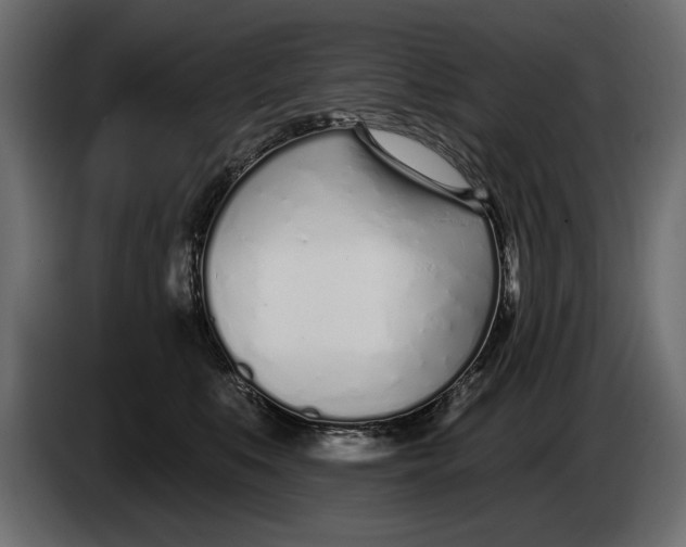 X0000083530519200703021556