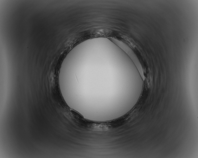 X0000083530520200703021556