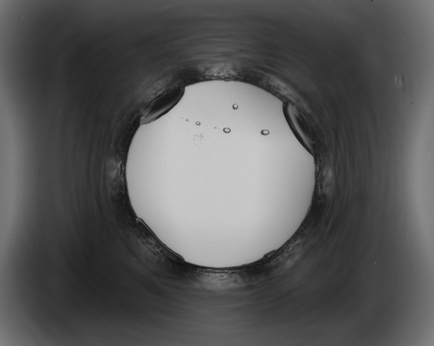 X0000083530521200703021556