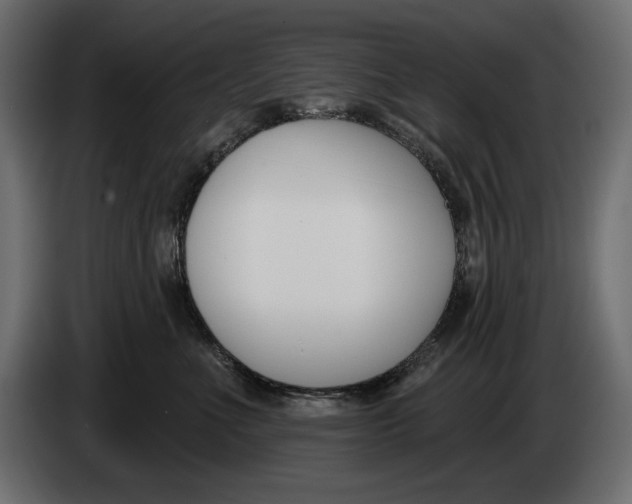 X0000083530523200703021556