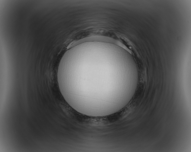 X0000083530524200703021556