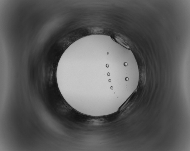 X0000083530525200703021556