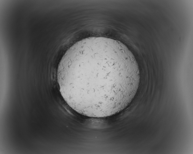 X0000083530528200703021556