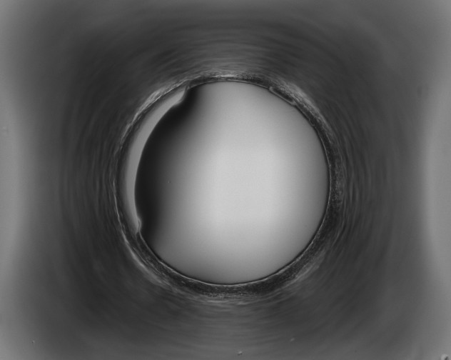 X0000083530530200703021555