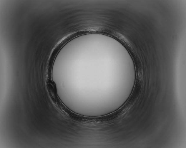 X0000083530532200703021555