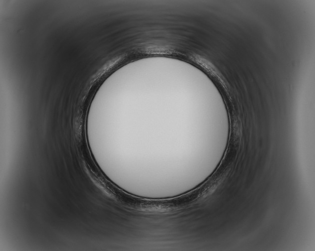 X0000083530533200703021555