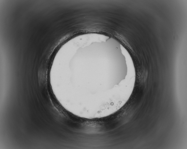 X0000083530534200703021555