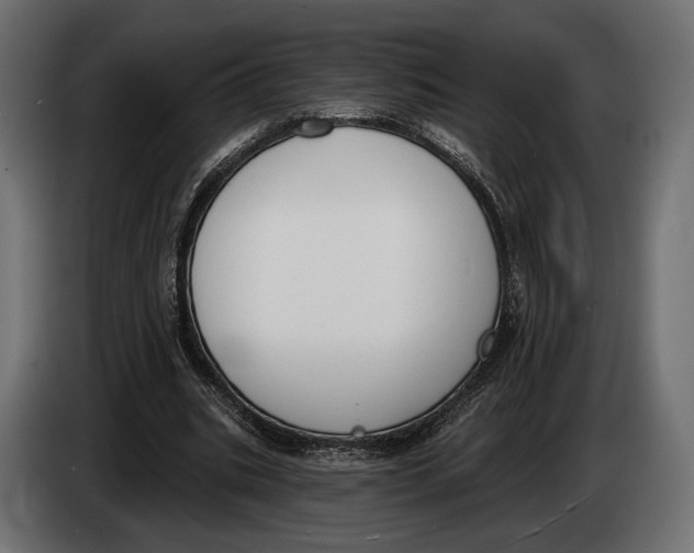 X0000083530535200703021555