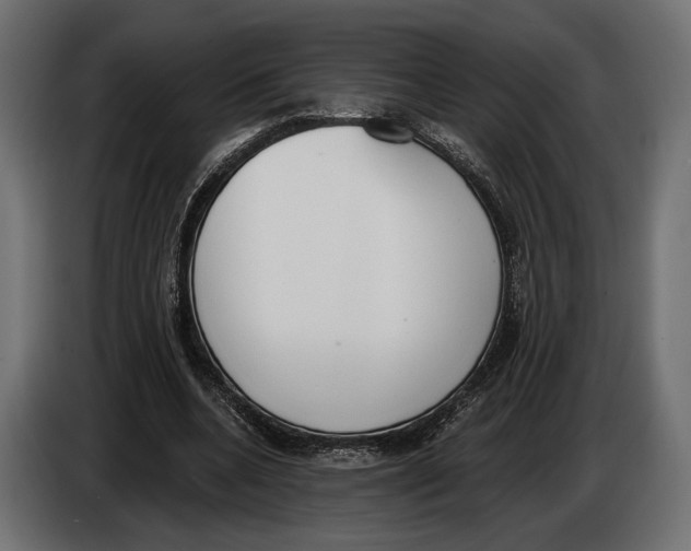 X0000083530536200703021555