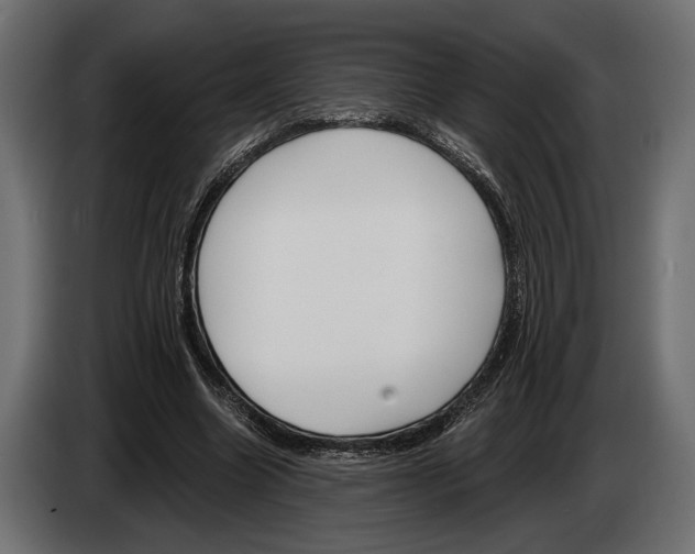 X0000083530538200703021555