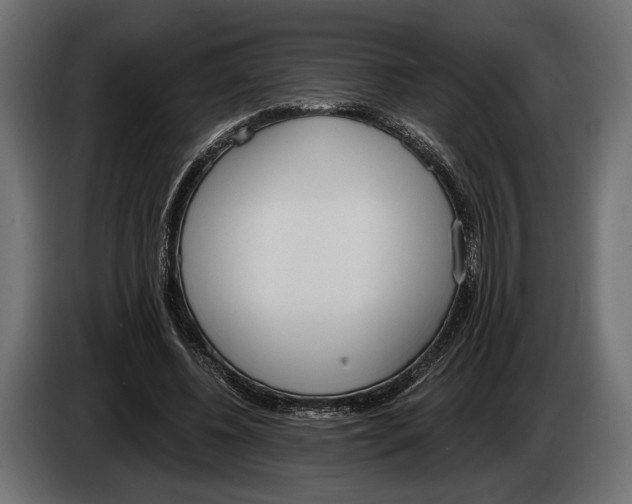 X0000083530540200703021555